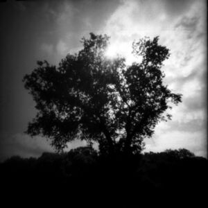 Mille soleils, un crépuscule