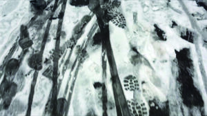 Caroline Sorin