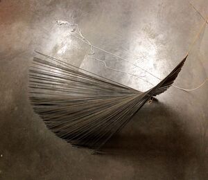 Charlotte Agricole