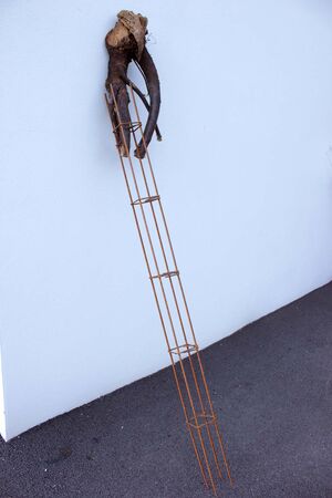 Charlotte Agricole