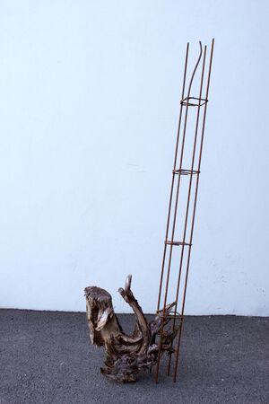 Charlotte Agricole