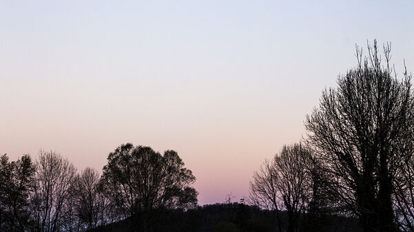 Claire Dantzer / Repérage Nuits blanches et jours laiteux, 2020 © Claire Dantzer © Claire Dantzer