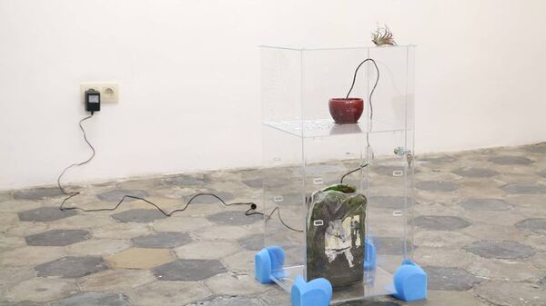 Guilhem Roubichou / biotp ex view