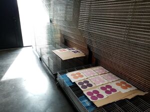 Institut supérieur des impressions naturelles appliquées