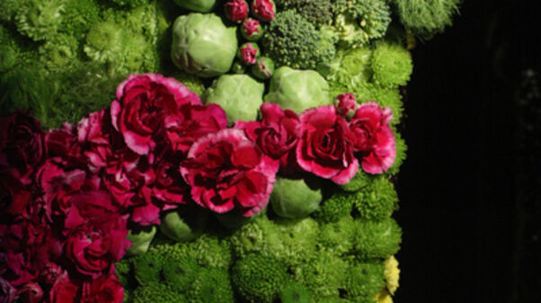 Ivana Adaime Makac / Le Banquet, installation évolutive à entretenir, 2008-2016, criquets pèlerins, vivariums, mousse florale, fruits, légumes, fleurs, socles) dimensions variables © Ivana Adaime Makac