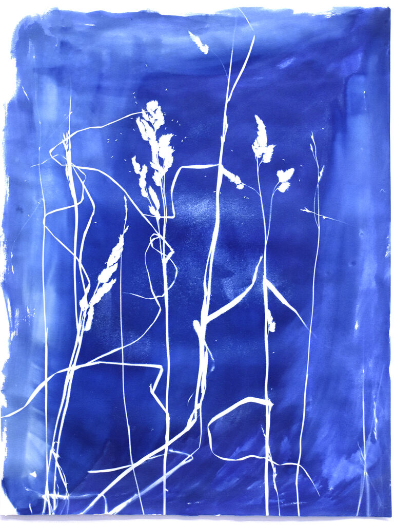Marie Fabre