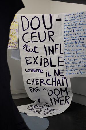 Marion Bonjour