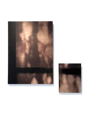 Marion Flament