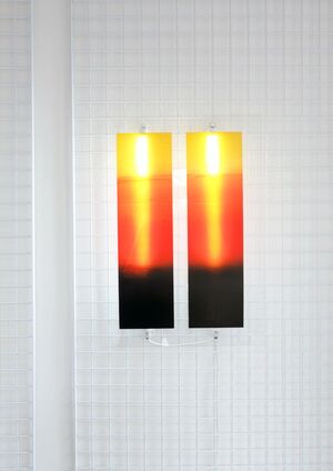 Marion Flament