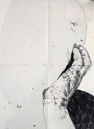 Thomas Ferrando