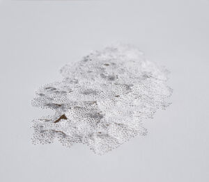 Yonsoo Kang