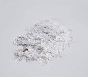 Yonsoo Kang